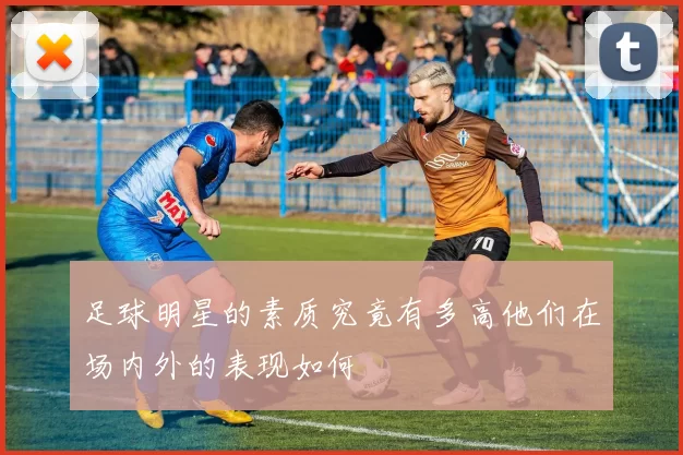 足球明星的素质究竟有多高他们在场内外的表现如何