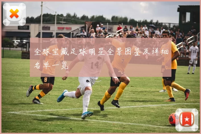 全球宝藏足球明星全景图鉴及详细名单一览
