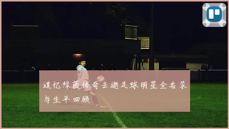 追忆绿茵传奇去逝足球明星全名录与生平回顾