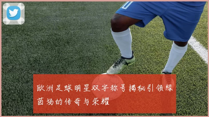 欧洲足球明星双字称号揭秘引领绿茵场的传奇与荣耀