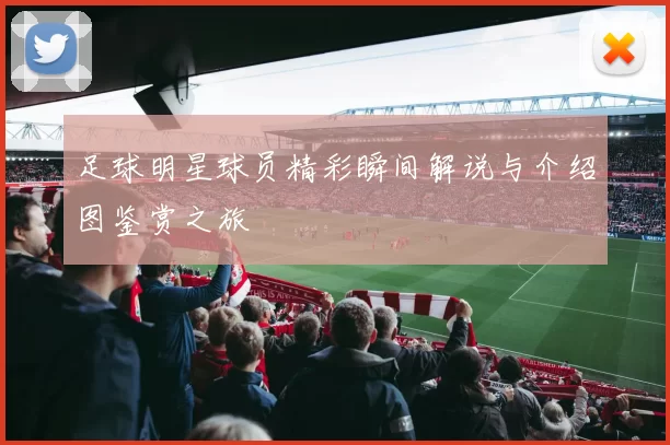 足球明星球员精彩瞬间解说与介绍图鉴赏之旅