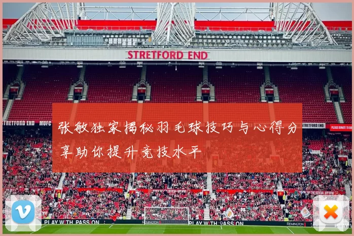 张敏独家揭秘羽毛球技巧与心得分享助你提升竞技水平