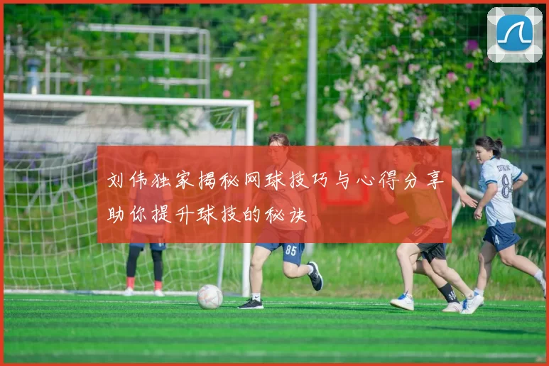 刘伟独家揭秘网球技巧与心得分享助你提升球技的秘诀